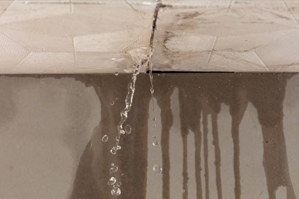 Professional Structural Drying technician working in Frankston, TX